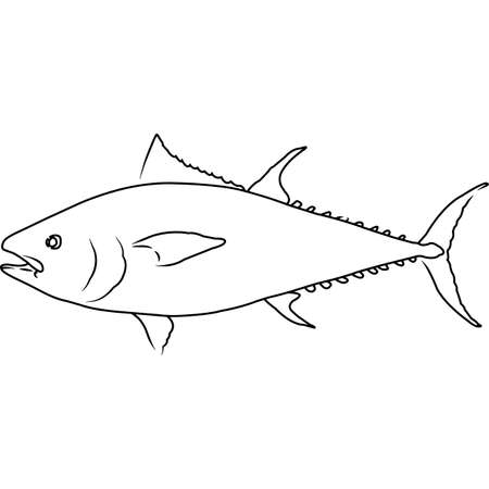 Tuna Hand sketched hand drawn vector clipartのイラスト素材