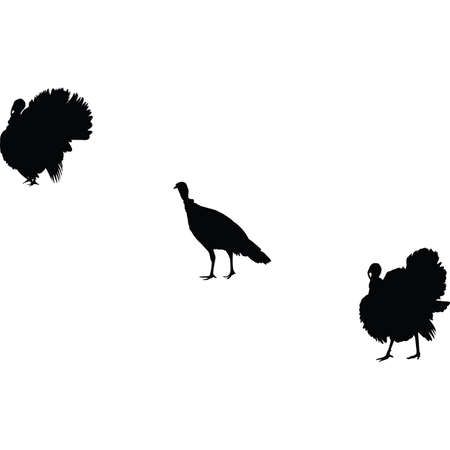 Bourbon Red Turkey Silhouette Vectorのイラスト素材