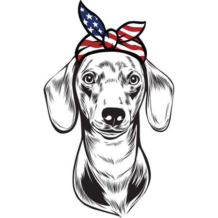 Dachshund Dog vector eps , Dog in Bandana, sunglasses, Fourth , 4th July vector eps, Patriotic, USA Dog, Cricut Silhouette Cut Fileのイラスト素材