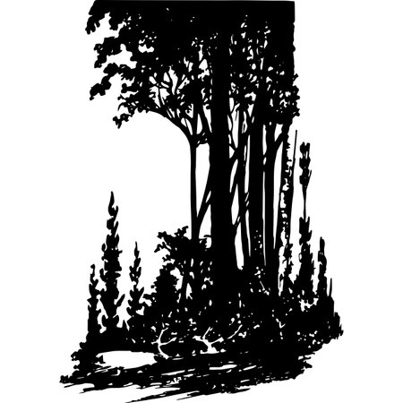 Miscellaneous Woodland Growth Vectorのイラスト素材