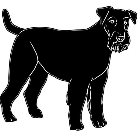 Airedale Terrier Sketchのイラスト素材