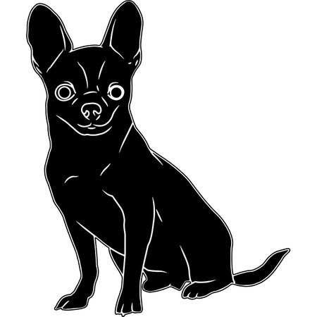 Chihuahua Sketchのイラスト素材