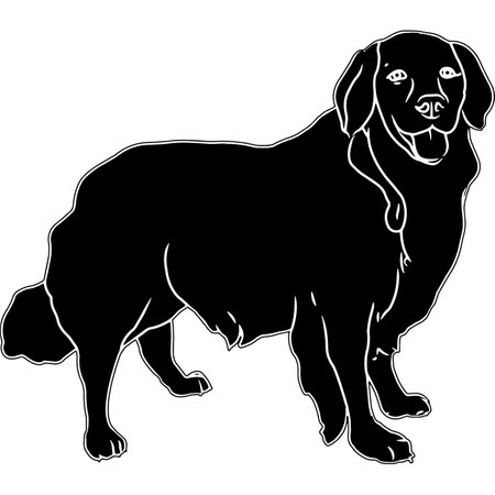 Golden Retriever Sketchのイラスト素材