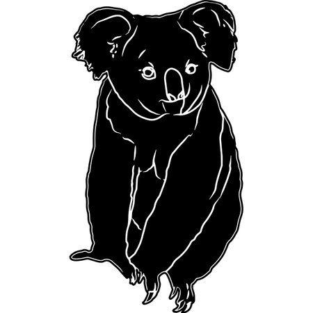 Koala Sketch Vectorのイラスト素材
