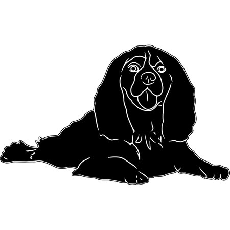Cavalier King Charles Spaniel Sketchのイラスト素材