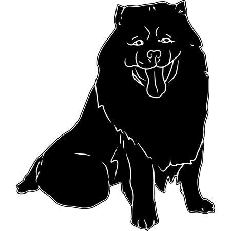 Chow Chow Sketchのイラスト素材