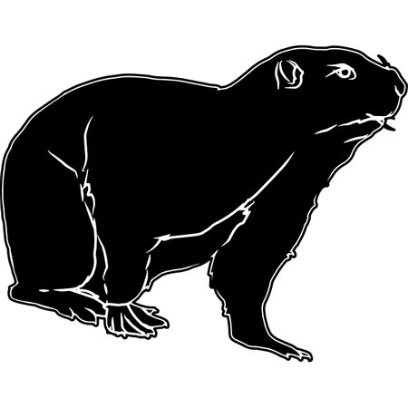Marmot Sketch Vectorのイラスト素材