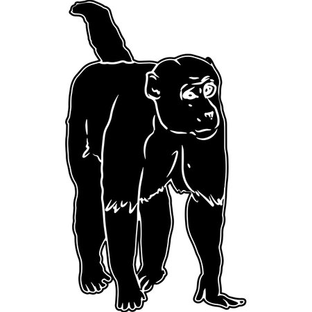 Monkey Sketch Vectorのイラスト素材