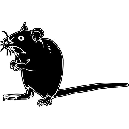 Rat Sketch Vectorのイラスト素材