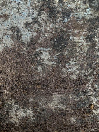 Grunge rusty metal texture background.の写真素材