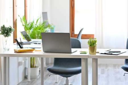 Photo of a comfortable workplace surrounded by a working desk and various office equipment.