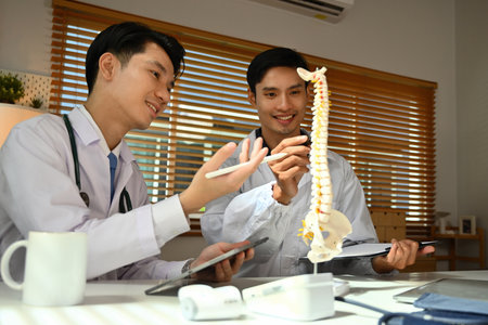 Two doctors pointing at the spine model.