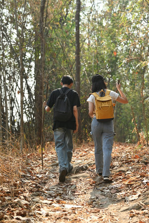 Rearview of a Young transgender couple with backpacks are trekking in the forest together.の写真素材
