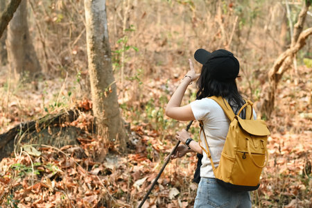 Young Asian teenage girl and her friend enjoying trekking in the woods, Free time activities of young people concept.の写真素材