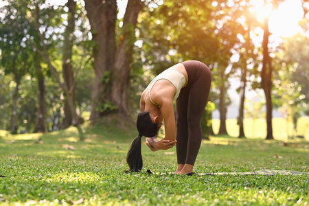 A woman performs the Standing Forward Bend yoga pose, gently stretching her back and hamstrings amidst a serene outdoor with warm sunlight.の写真素材