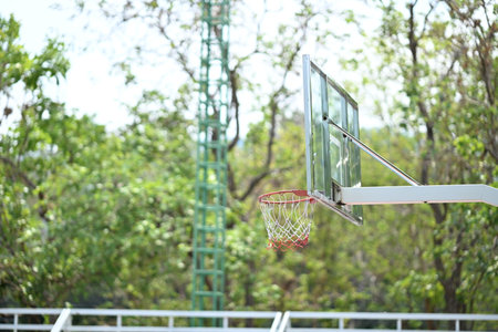 Basketball Hoop in Sunny Outdoor Court, Surrounded by green trees.