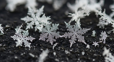 Snowflakes on a black background. Macro photo of snowflakes.