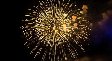 Colorful fireworks on the black sky background for celebration (Selective focus)