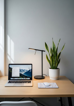Workplace with computer and plants in modern room, interior design conceptの写真素材