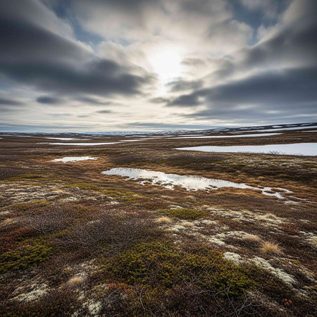 Sunset over the tundra of Iceland. Toned.の写真素材