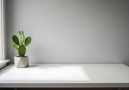 Interior of modern living room with white walls, concrete floor and plant in potの写真素材