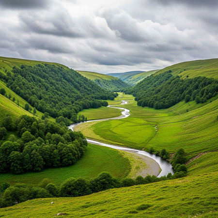 Beautiful summer landscape in the Carpathian mountains. Ukraine, Europe.の写真素材