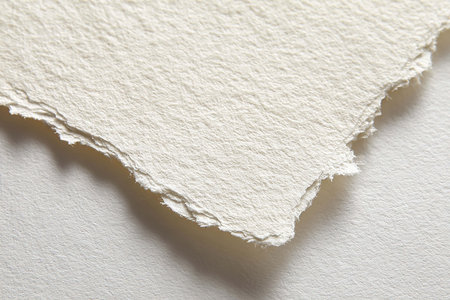 Torn paper with space for text or image on white background.の写真素材