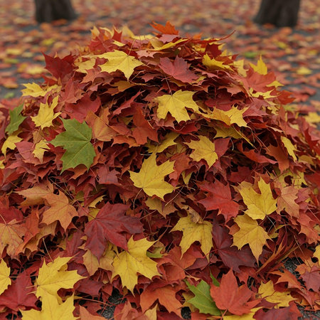Autumn maple leaves on the ground in the park, closeup of photoの写真素材