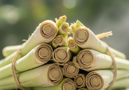 Close up of fresh lemongrass in the market, Thailand.の写真素材