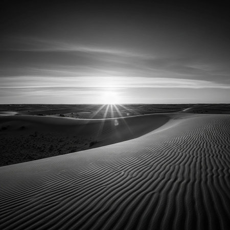 Sunset over the white sand dunesの写真素材