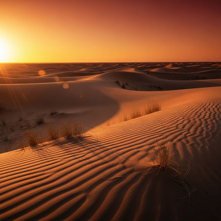 Sunset over the sand dunes of the Sahara desert in Moroccoの写真素材