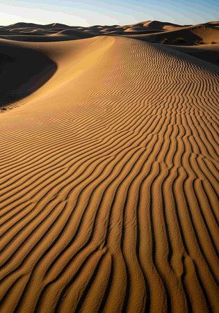 Sand dunes in the Sahara desert. Morocco. Africa. Verticalの写真素材