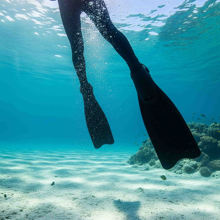 Silhouette of a woman snorkeling in the oceanの写真素材