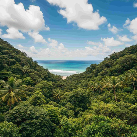 Aerial view of a tropical beach.の写真素材