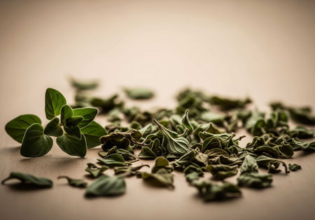 Fresh oregano leaves on wooden surface. Selective focus. Toned.の写真素材