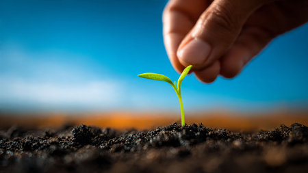 Human hand planting a green seedling on fertile soil with blue sky backgroundの写真素材