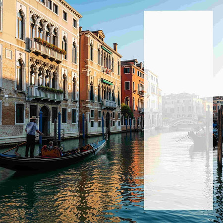 Green moss and ferns in the forest.の写真素材