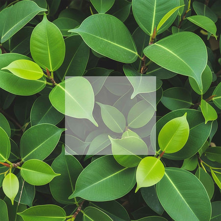 Creative layout made of green leaves. Nature background. Flat lay, top view.の写真素材