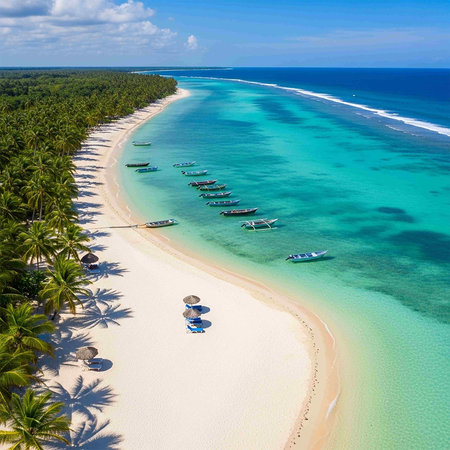 Aerial view of beautiful tropical beach with palm trees and blue lagoon
