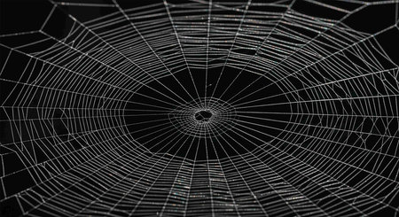 Spider web on dark background. 3d rendering, 3d illustration.の写真素材