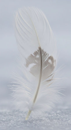 feather of a bird on a background of snow, close-upの写真素材