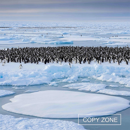 Modern office lobby with glass walls, tiled floor and white ceiling. 3d renderingの写真素材