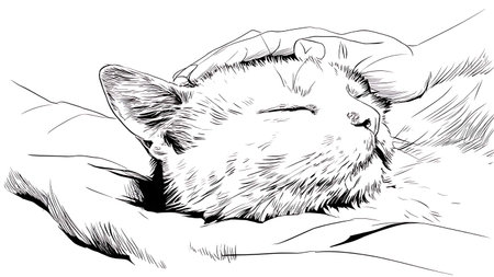 Sleeping cat. Black and white illustration ready for vinyl cutting.