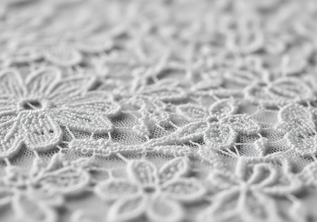 White lace fabric texture background. Close up of white lace fabric texture.の写真素材