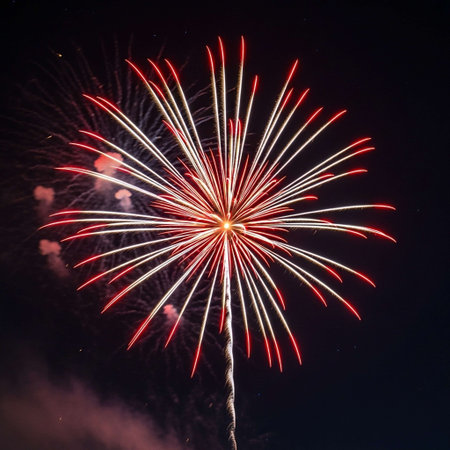 Colorful fireworks of various colors over night sky, celebration concept.