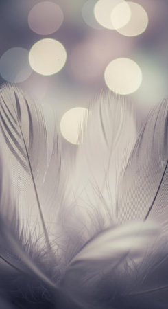 Beautiful white feathers on bokeh background, soft focus.の写真素材