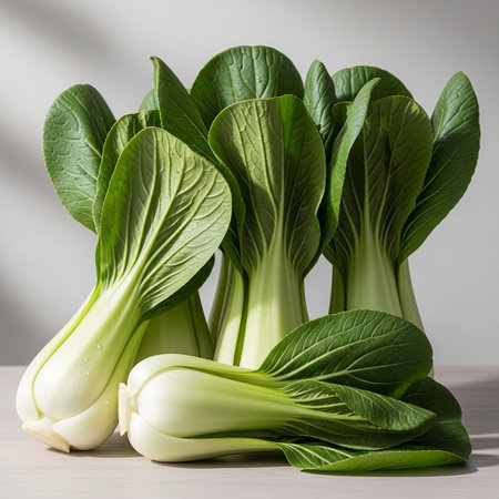 Green bok choy (chinese cabbage) isolated on white backgroundの写真素材