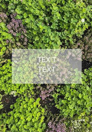 Top view of fresh plants with copy space for textの写真素材