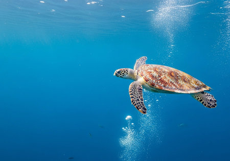 Hawaiian Green Sea Turtle (Chelonia mydas)