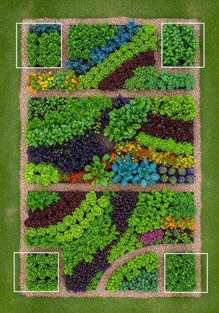 Top view of a vegetable garden in the form of a flower bed.